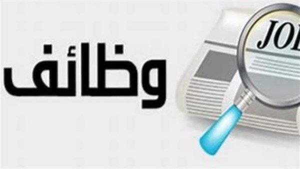 فرص عمل جديدة بالجيزة.. وزارة العمل تطلق مبادرة لتوظيف الشباب «الشروط والرواتب» #عاجل 