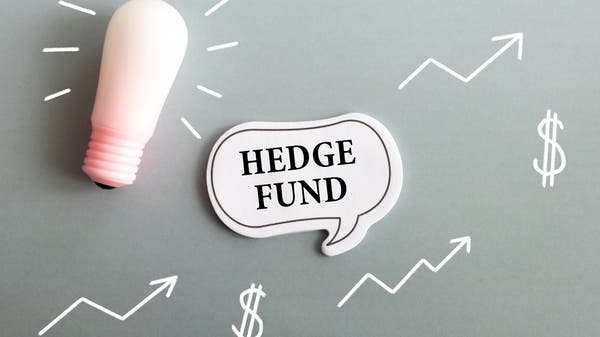 استراتيجيات صناديق التحوط الفائزة في 2025.. رهان نادر يتجاوز التكنولوجيا _Business 