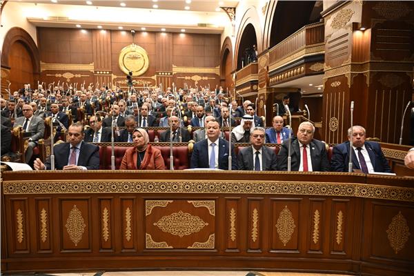 عاجل.. «الشيوخ» يبدأ مناقشة مشروع قانون الكهرباء 