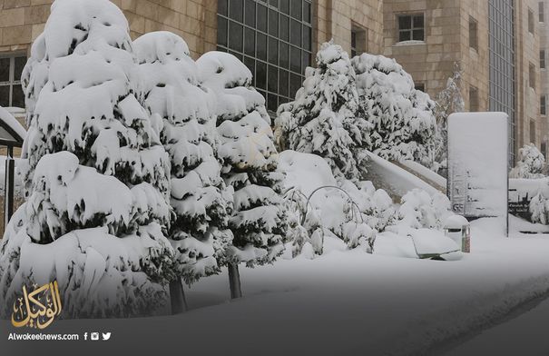 عاجل حقيقة العاصفة الثلجيــــة التي ستضرب الاردن الشهر الحالي 