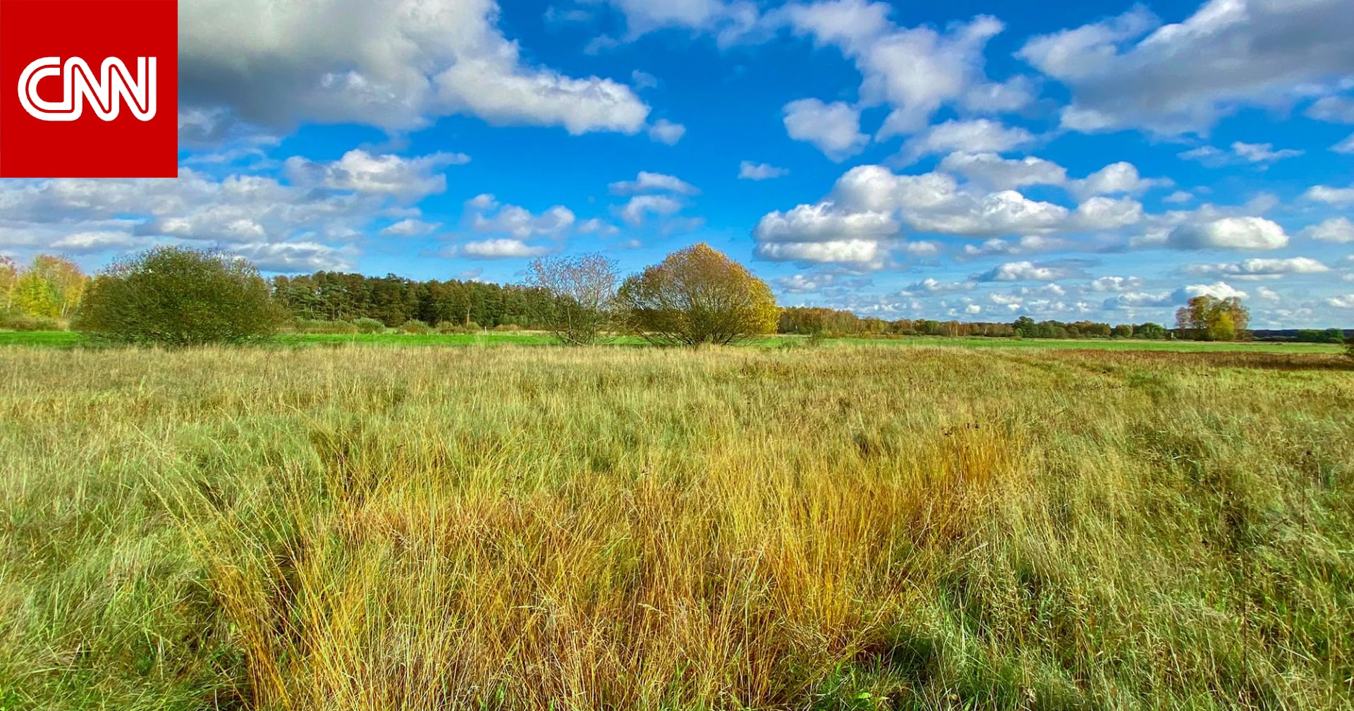 هل تصدق أنّ إحدى أجمل المناظر الطبيعية الهادئة في ألمانيا تدين بوجودها للحظة مظلمة في التاريخ؟ 