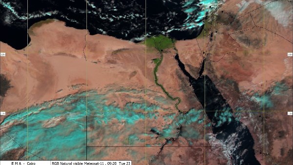 عاجل| الأرصاد تحذر من شبورة كثيفة وطقس شديد البرودة غداً الأربعاء 