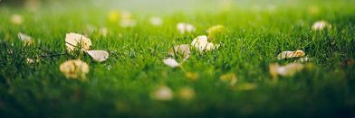 backra79's profile banner image