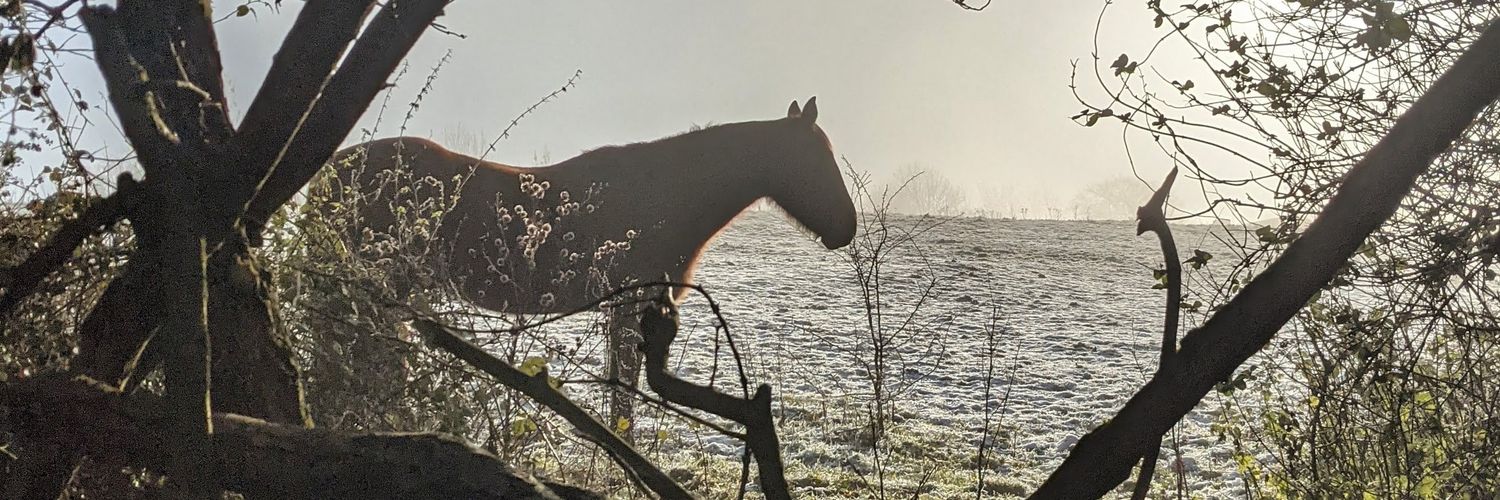 Phillys_Chance's profile banner image