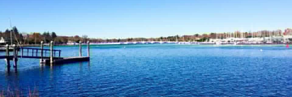 Elizabeth Dibble MD banner