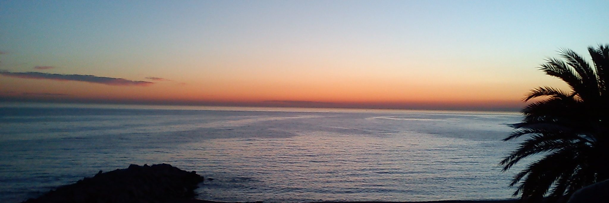 pgonmartin's profile banner image