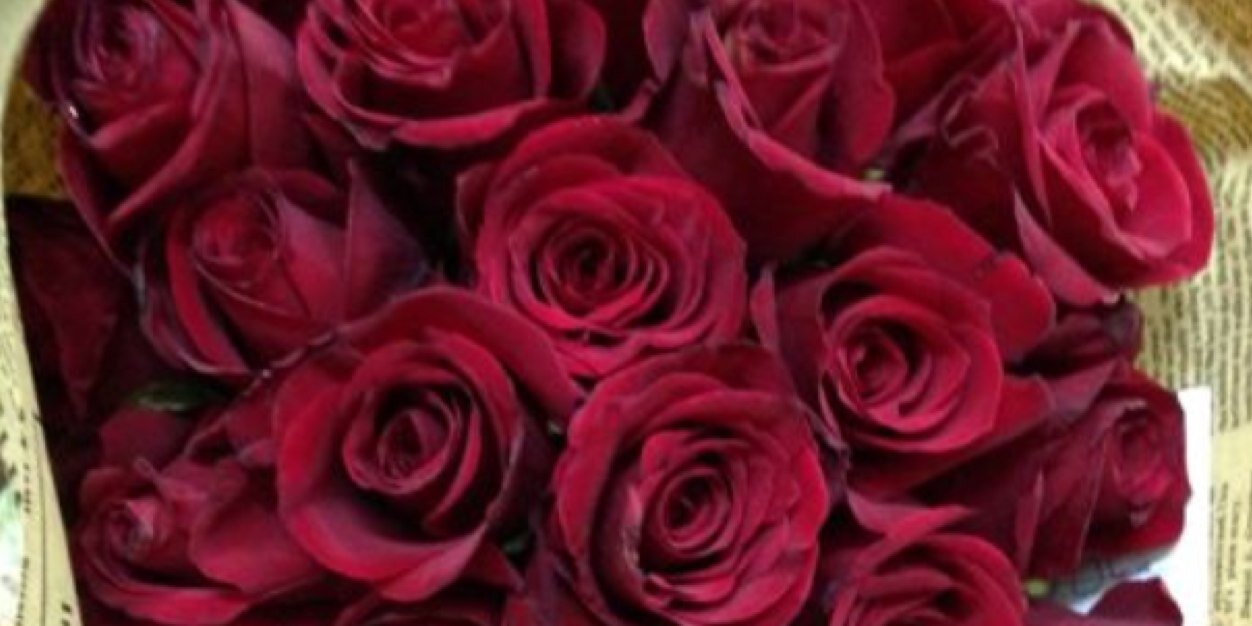 srd55's profile banner image