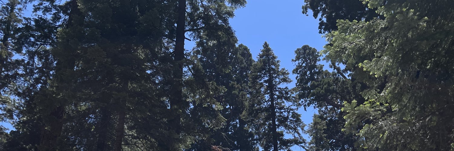adriegrcia's profile banner image