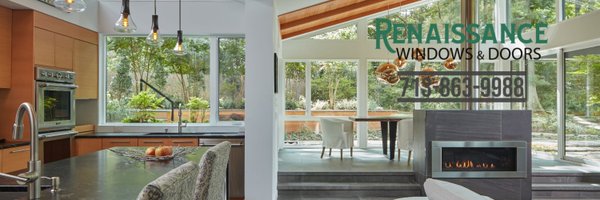 RenaissanceWD Profile Banner