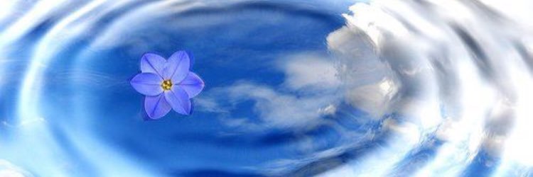helen dudeney banner