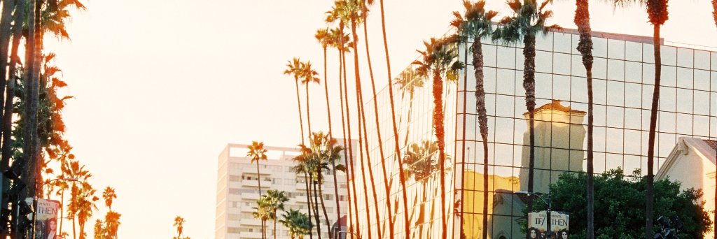 Gideon de Kok banner