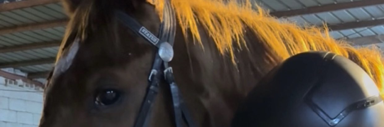 alsoda07's profile banner image