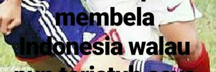 senja banner