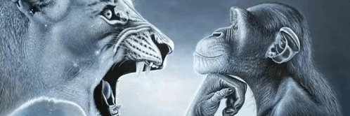 JuloLeBro's profile banner image