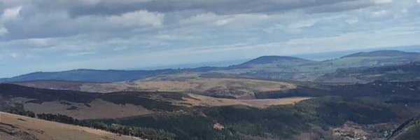 lehane_paula Profile Banner