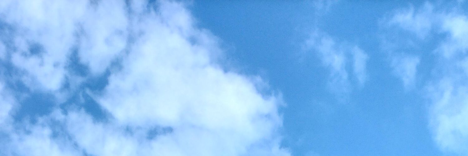 sofiafr1581's profile banner image