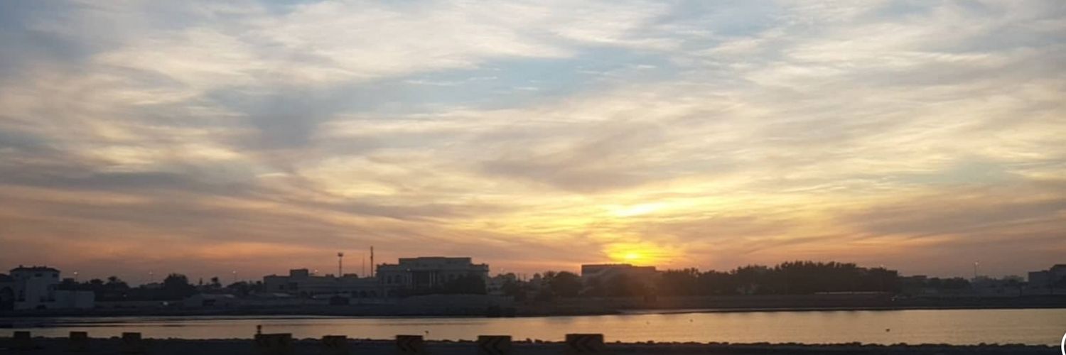 layalhusain's profile banner image