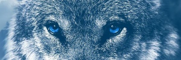 iam_guzzii Profile Banner