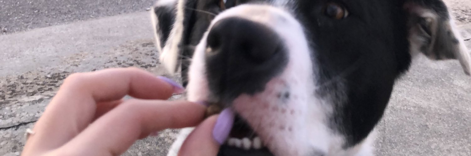 Lauraauraaura's profile banner image