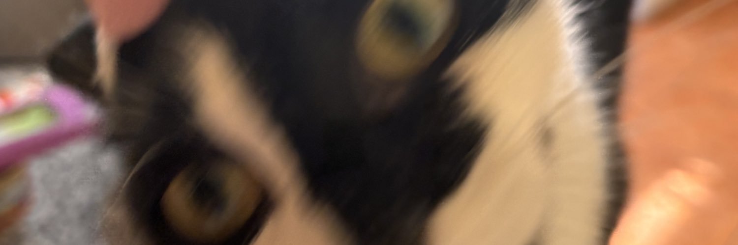 bea_marques7's profile banner image