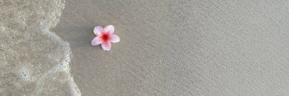 fatmmayasser's profile banner image
