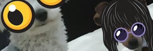 A_AMALYS's profile banner image