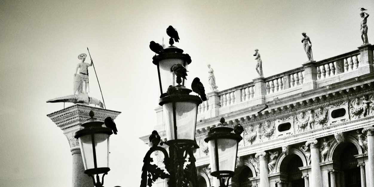 Mavi77's profile banner image
