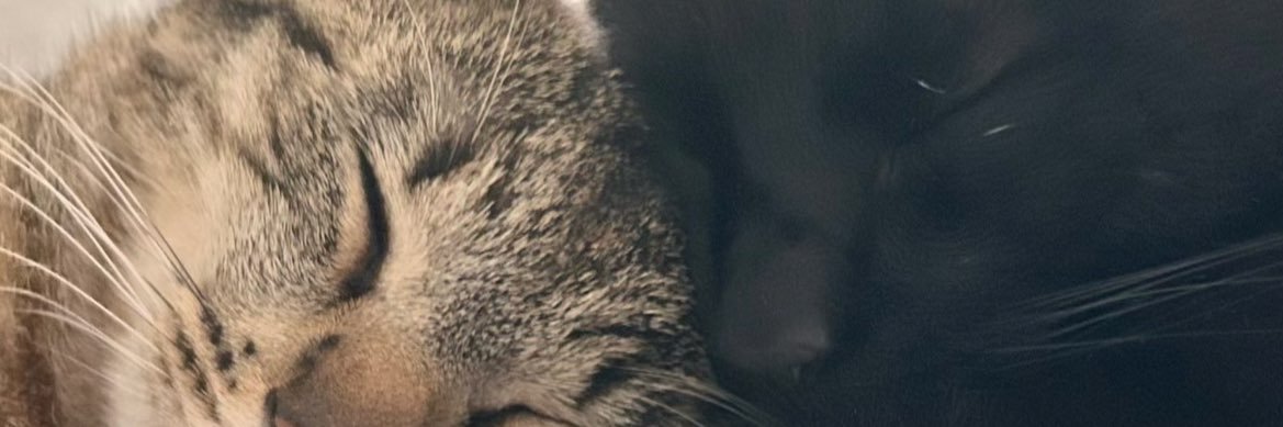 appellemoisun's profile banner image
