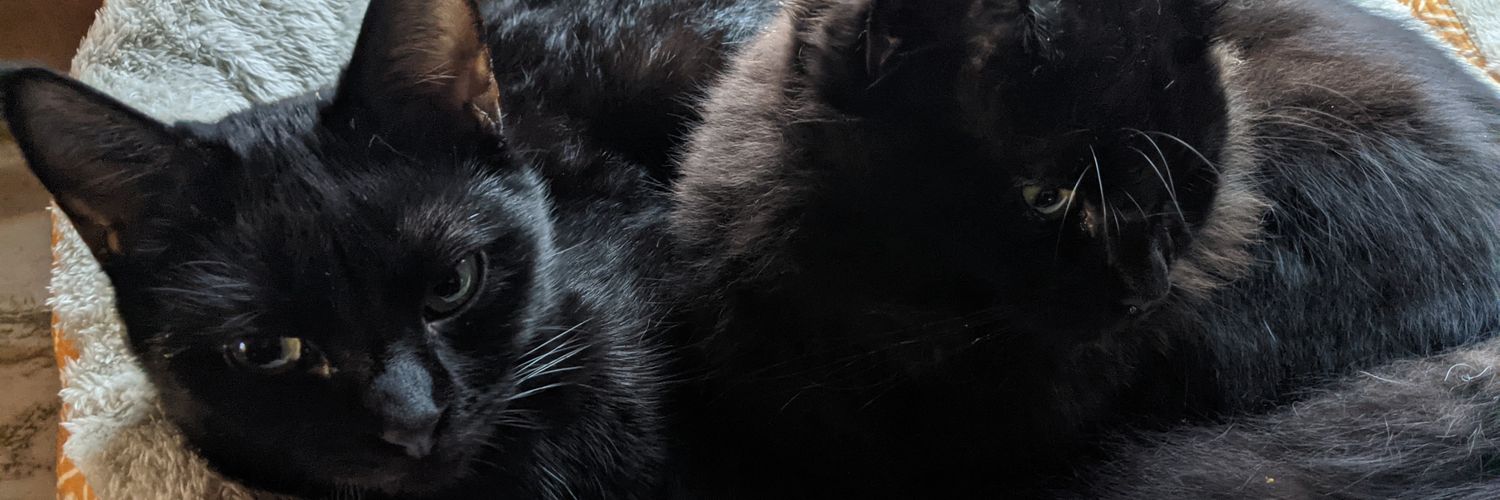 charleshbryan's profile banner image