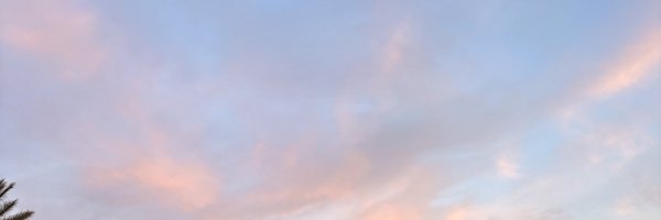 VECTIZZ1 Profile Banner