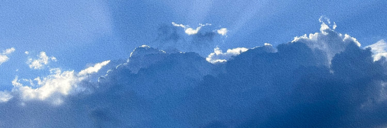 jadelbrr's profile banner image
