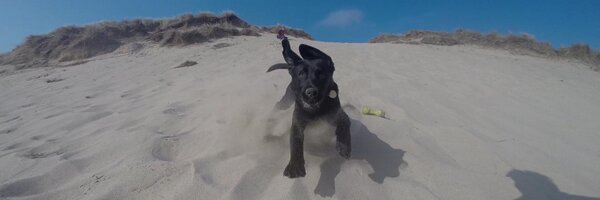 WJProctor Profile Banner