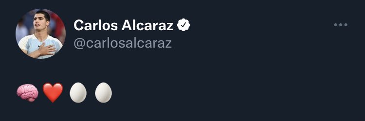 𝔸𝕕𝕣𝕚 banner