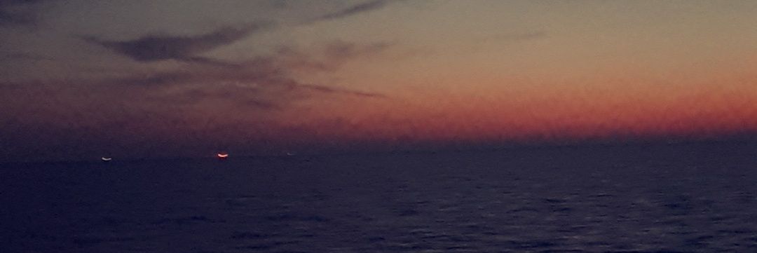 Seli17311193's profile banner image
