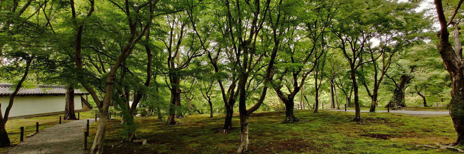 mediocre_lakes banner