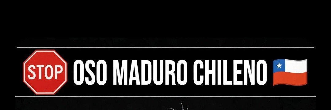 Osopeludochile🇨🇱 banner