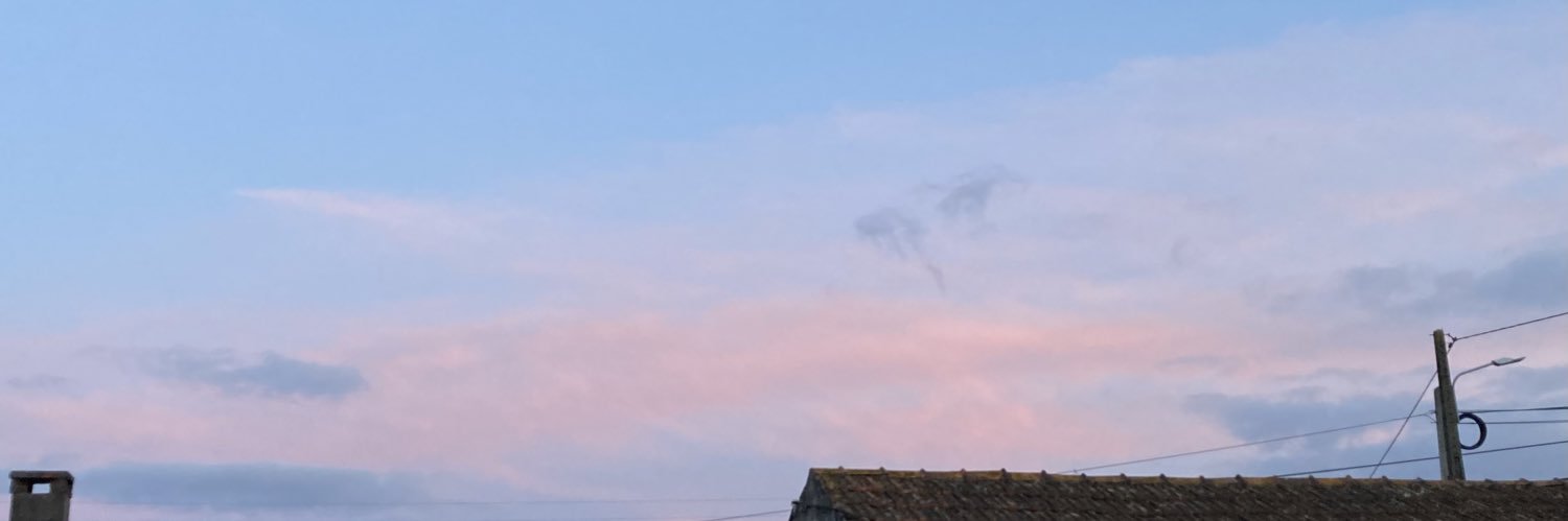MGrilo11's profile banner image