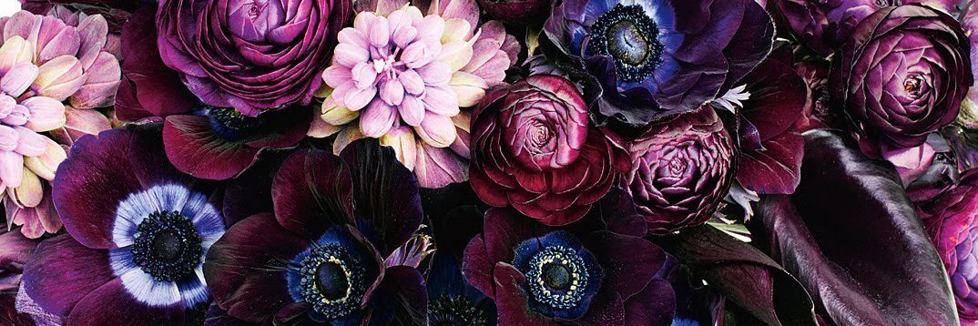 fancy_nancey's profile banner image