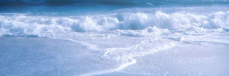 agent niccoᵖᵗ²🥗🎶 banner