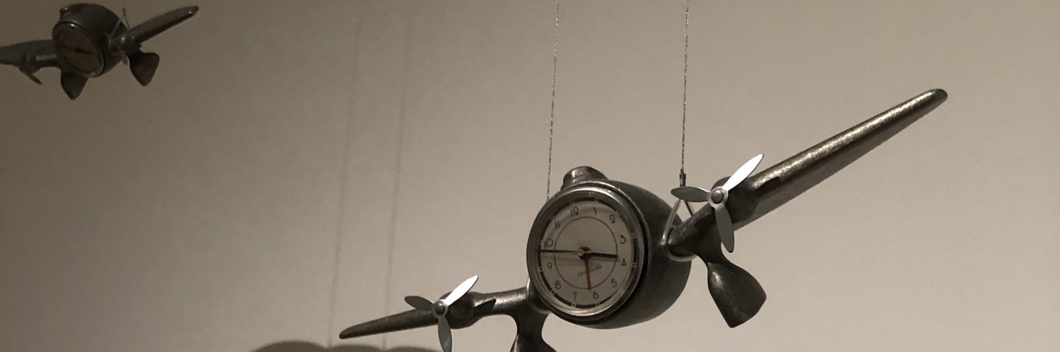 Cataplasmita's profile banner image