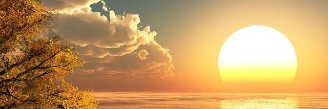 🦴🐶🥕🐰🧀🐭🍯🐻🍌🐵 banner