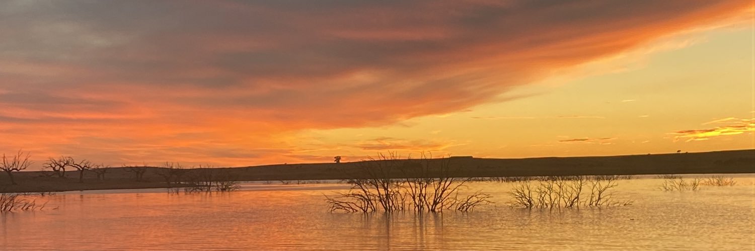 Delacruzlauri's profile banner image