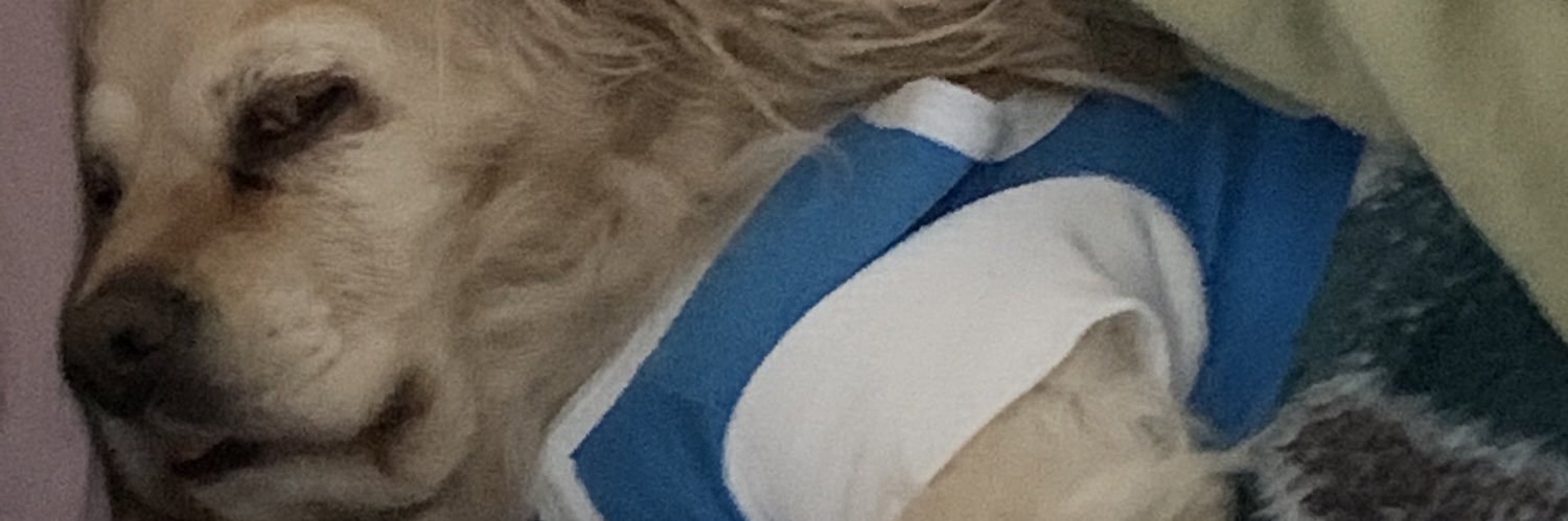 CRYPTOJUNKIE.edge🦭 banner