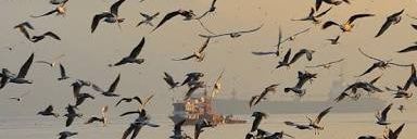 huzunkovn's profile banner image