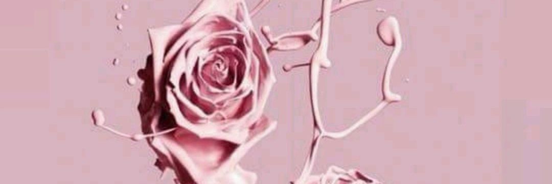 lis_Agrodz's profile banner image
