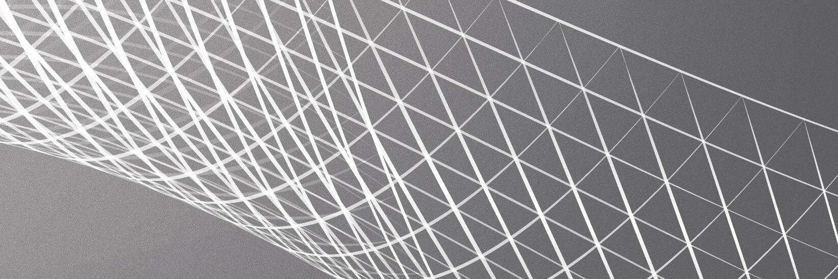 Roman Levchenko banner