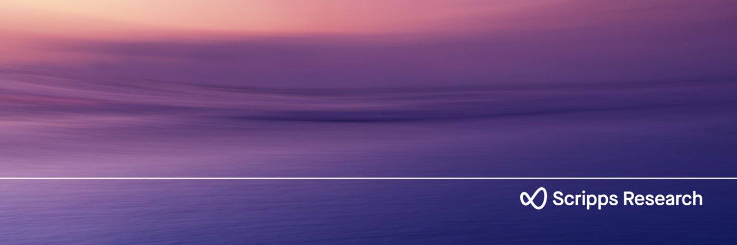 Giordano Lippi banner