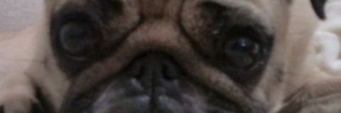 wsb_serena345's profile banner image