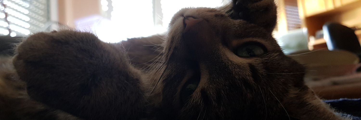 MrsKWhat's profile banner image