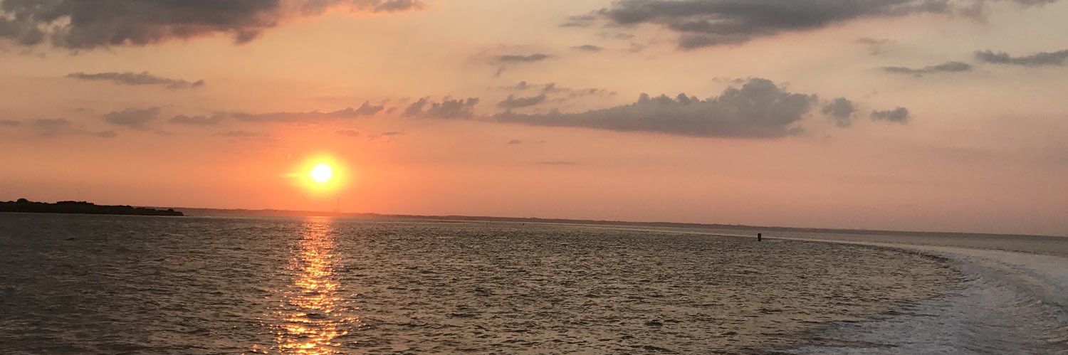 BarkerMorgann's profile banner image